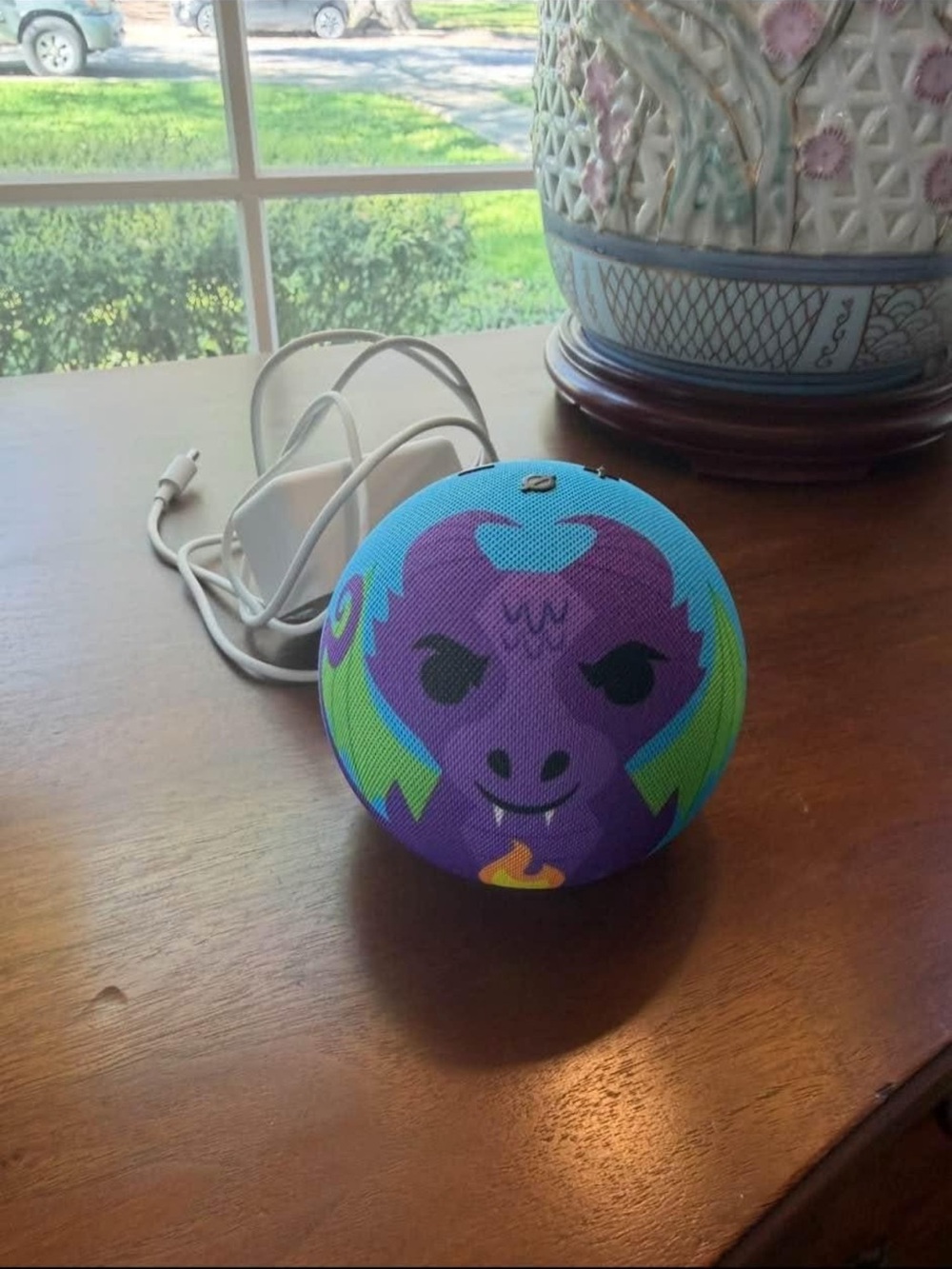 Amazon Echo Dot- dragon design Kids